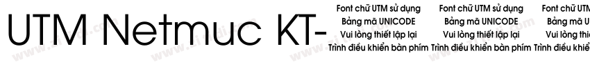 UTM Netmuc KT字体转换